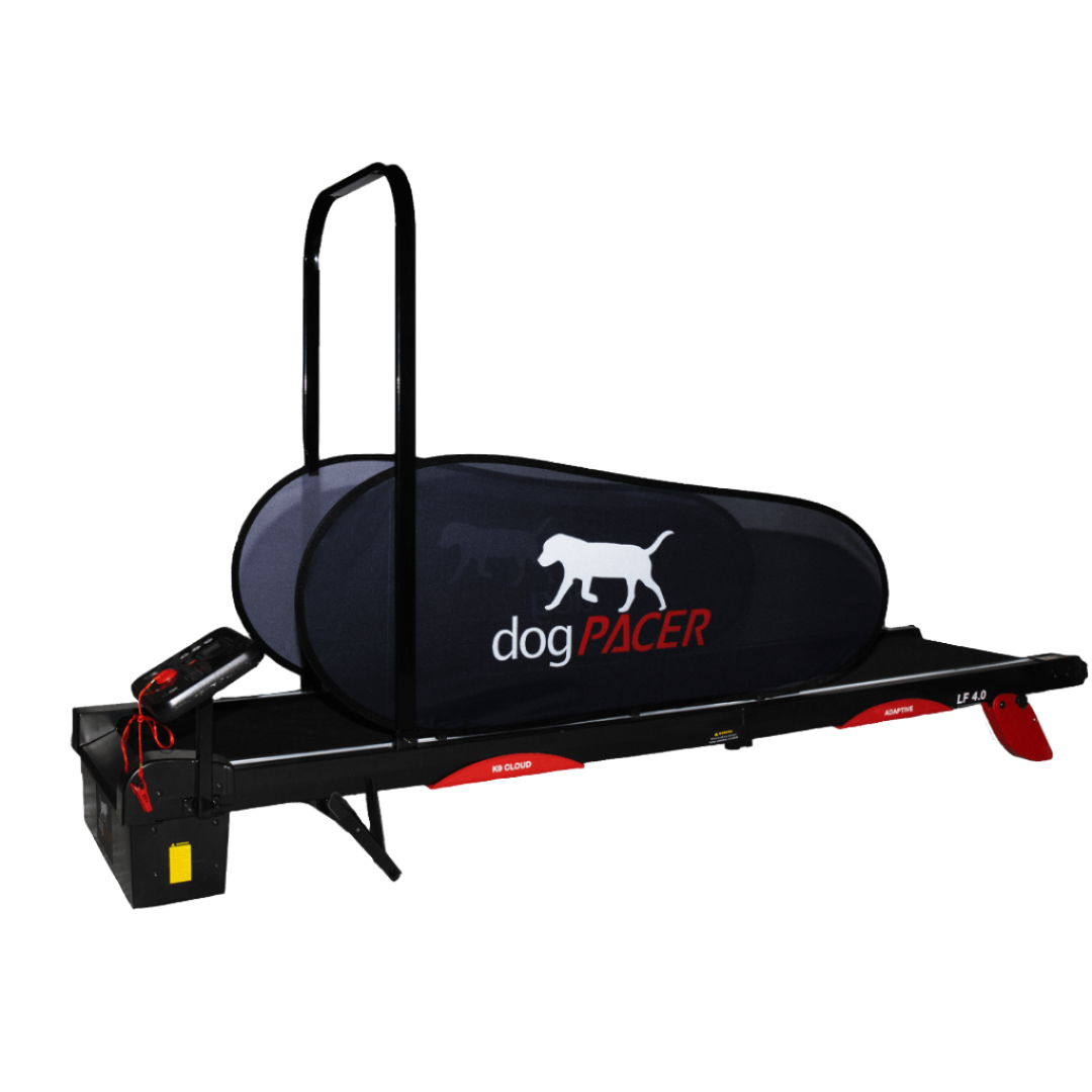 dogpacer 4.0