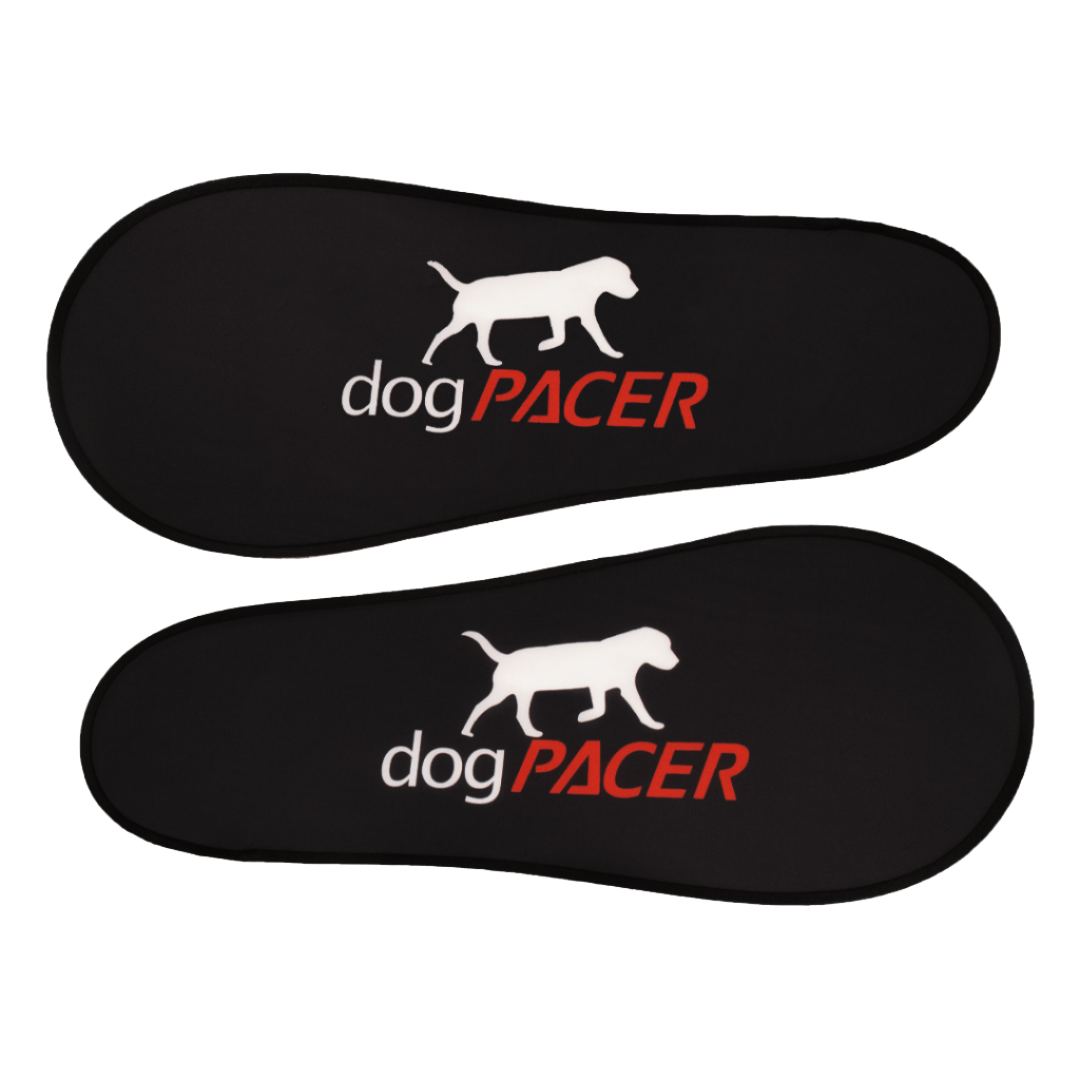 dogpacer 4.0