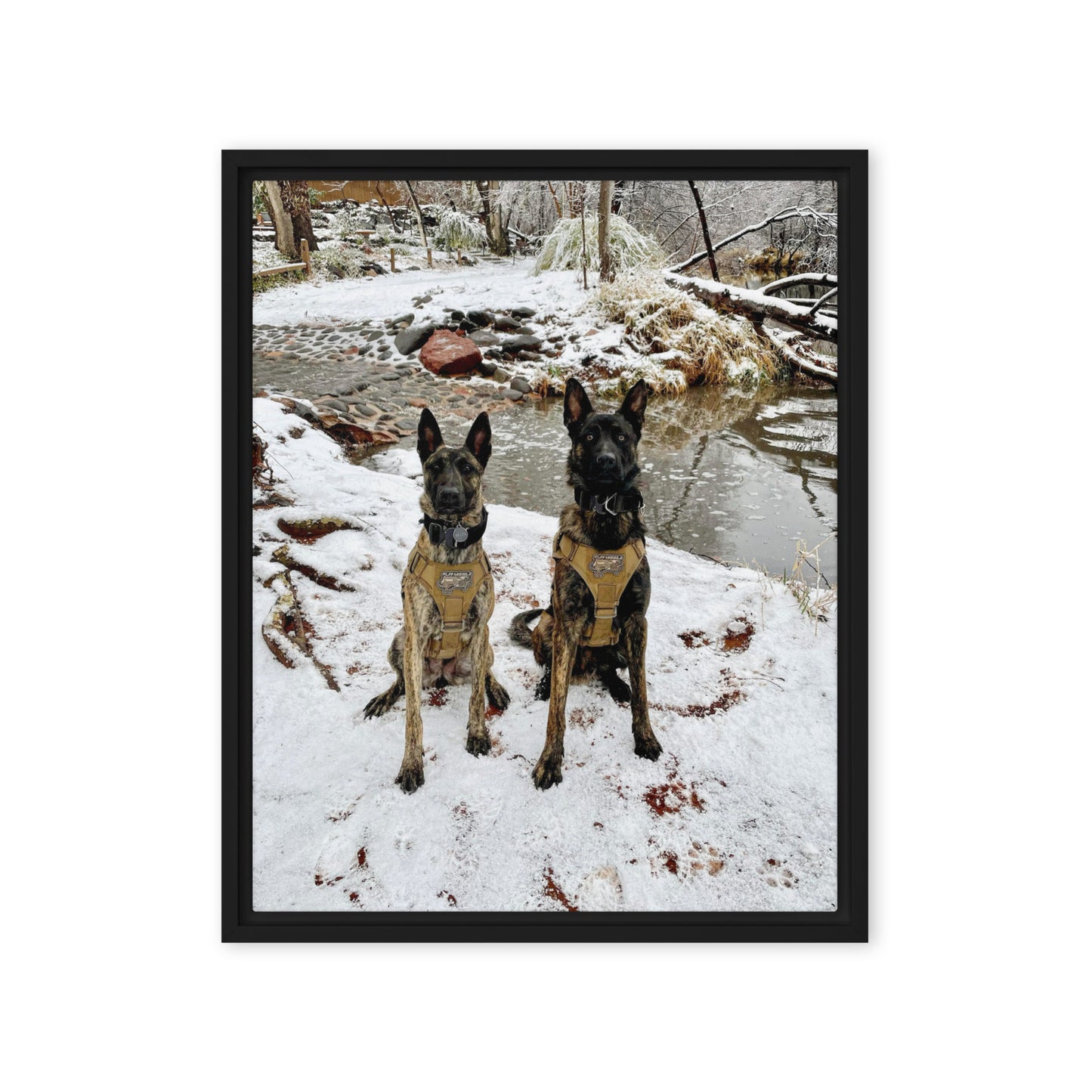 framed canvas - ranger & delta